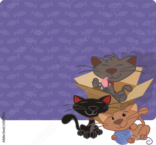 cats for sell and buy