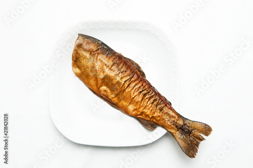 Fish photo