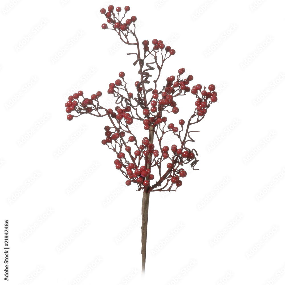 Fototapeta premium Blume