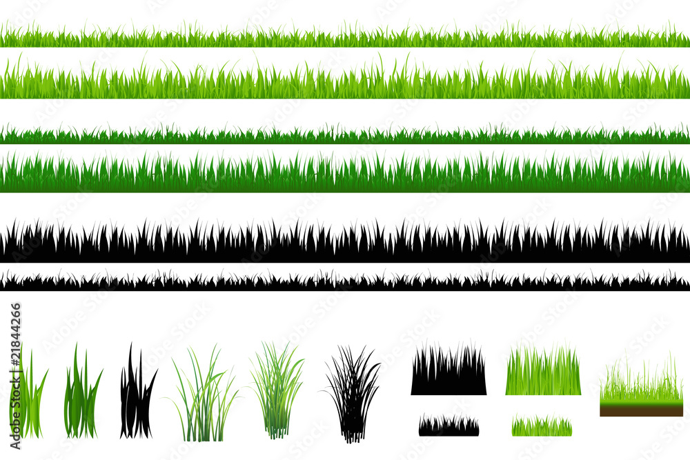 Obraz premium Kolekcja trawy, na białym tle