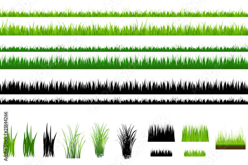 Grass collection, Isolated On White photo
