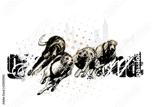 greyhound
