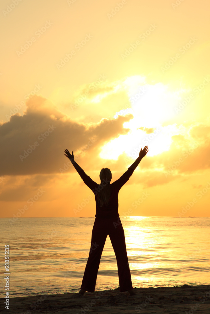 woman's silhouette on the beach