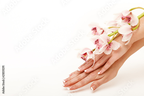 Hands and orchid