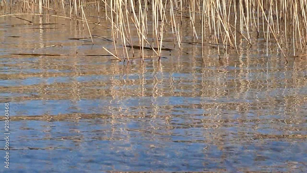 Wasseroberfläche am Ufer - Video - Waterwaves at Lake Wasseroberfläche am Ufer - Video - Waterwaves at Lake