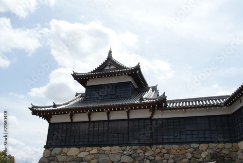 Japanese castle © kazukazu