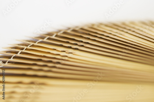 African Tribal Wooden Fan