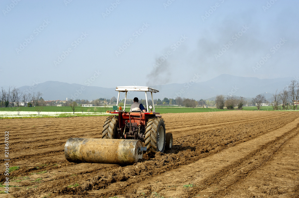 Obraz premium trattore