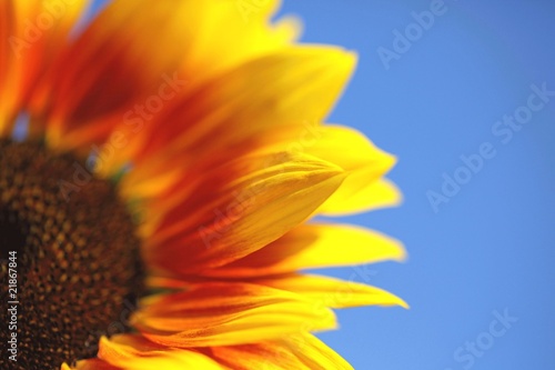 Farben der Ukraine