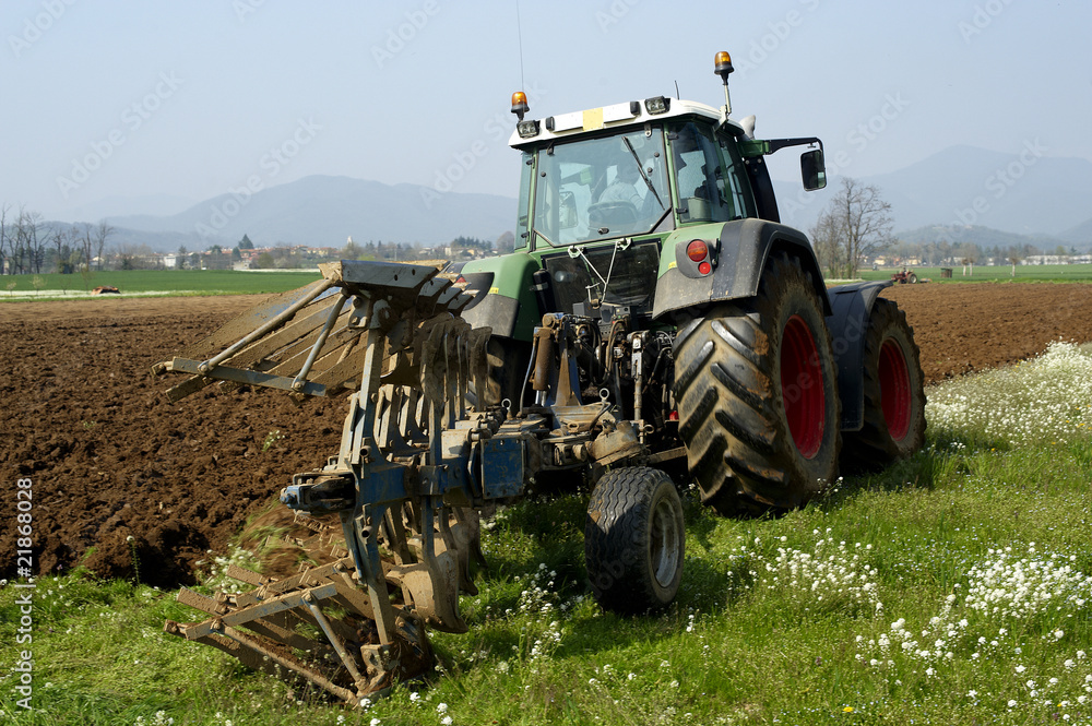 Fototapeta premium trattore