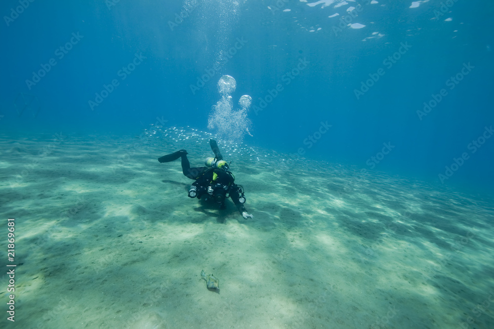 underwater photographer and ocean