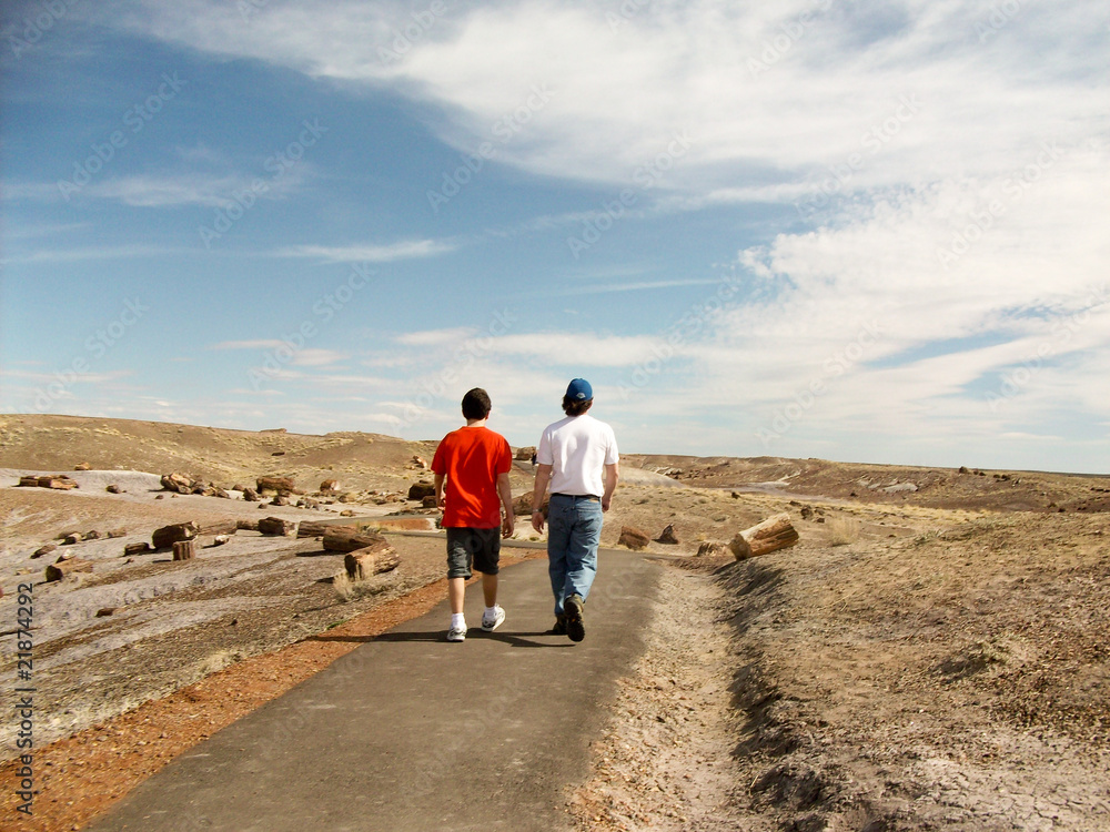 Walking in the Petrified Forest