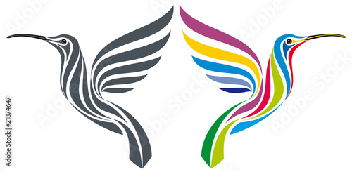 humming-bird vector