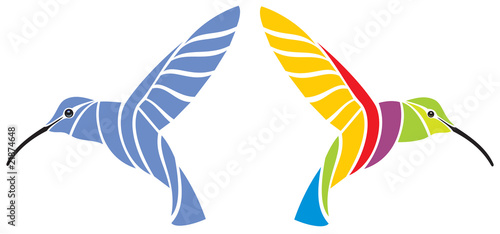 humming-bird vector