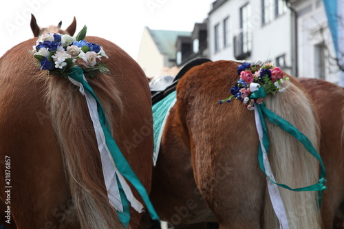 Fototapeta Naklejka Na Ścianę i Meble -  Geschmückte Hintern