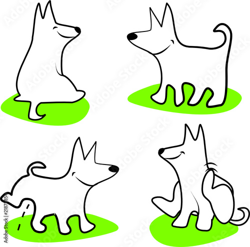 Funky dog