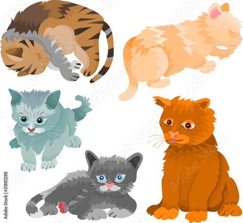 Set of a cats, picture