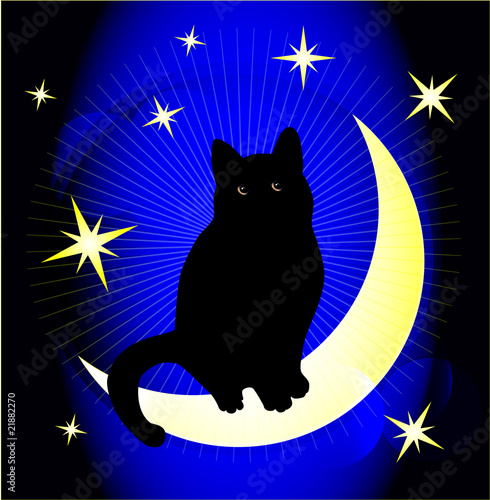 dreaming cat