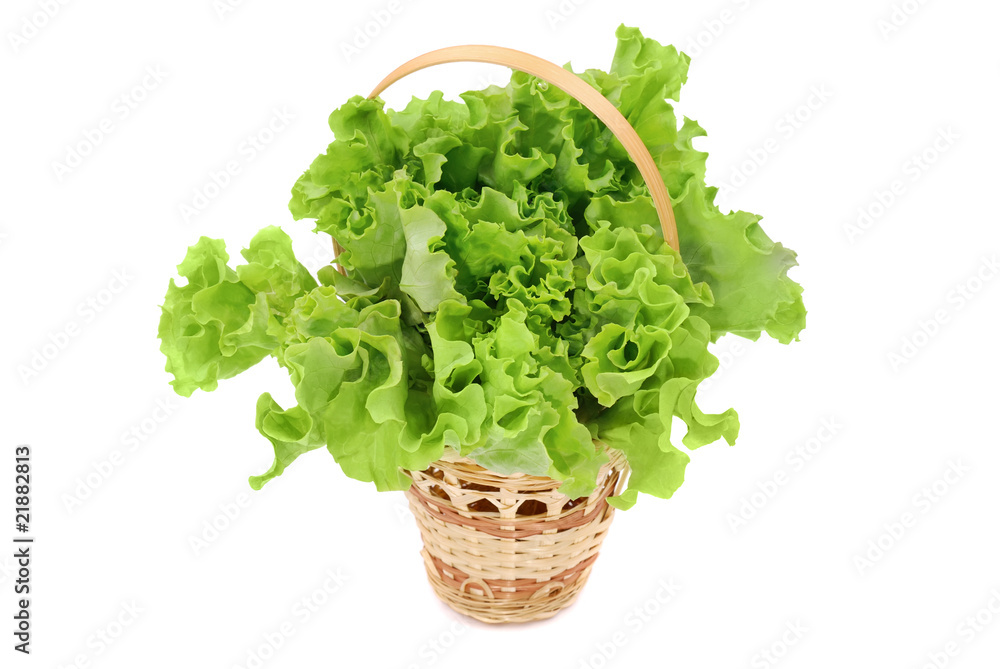 Basket with green lettuce salad Basket with green lettuce salad