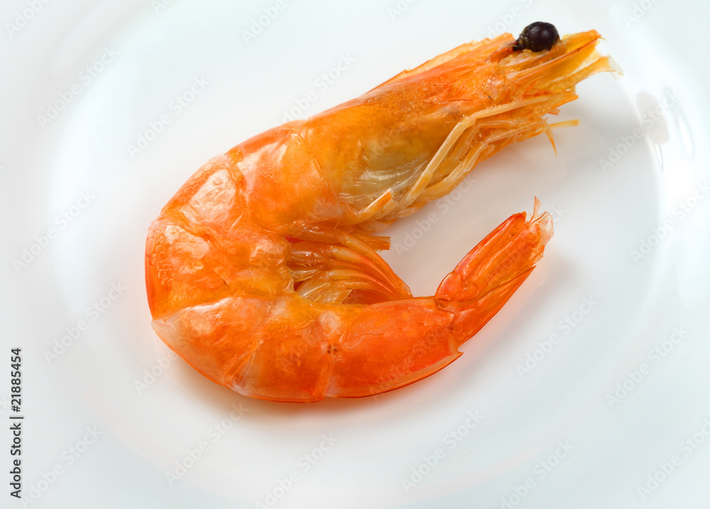 Eastern king prawn , tiger prawn (Penaeus plebejus) Stock Photo Adobe