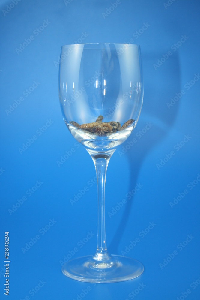 Insekten Insekten