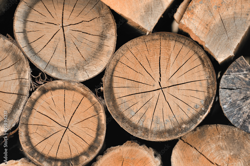 Naklejka premium Holzscheite 1
