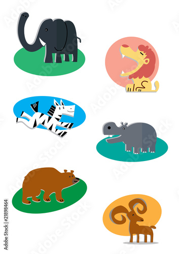 animals