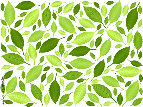 green leaf background