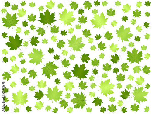 green leaf background 2