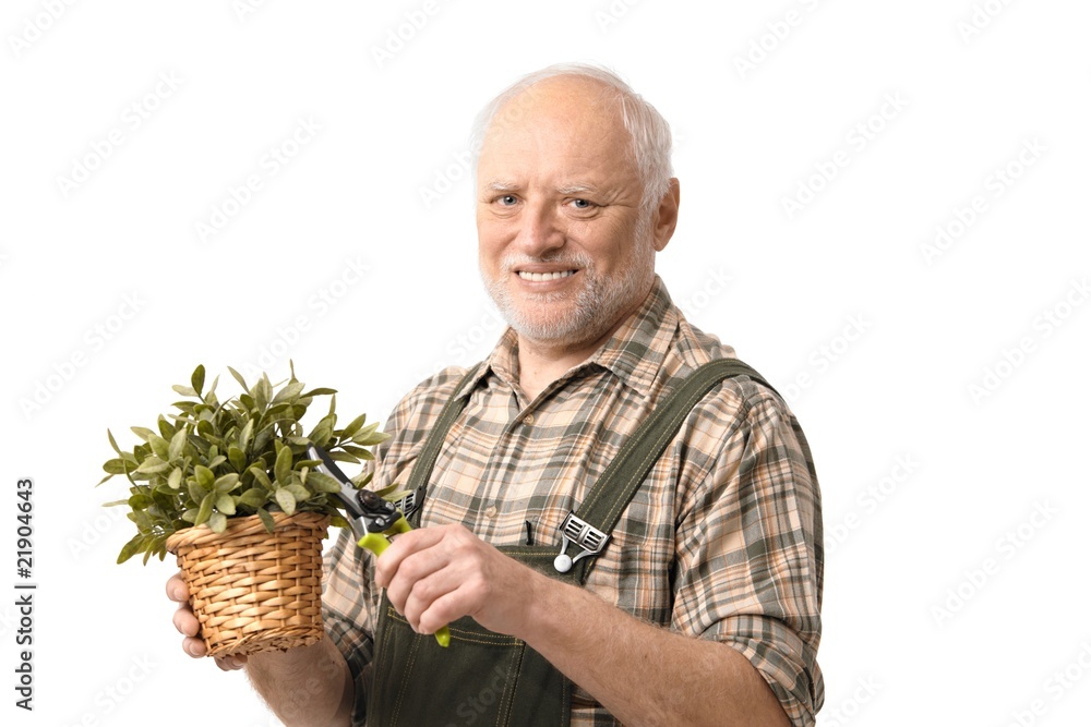 © nyul - Elderly hobby gardener with clippers