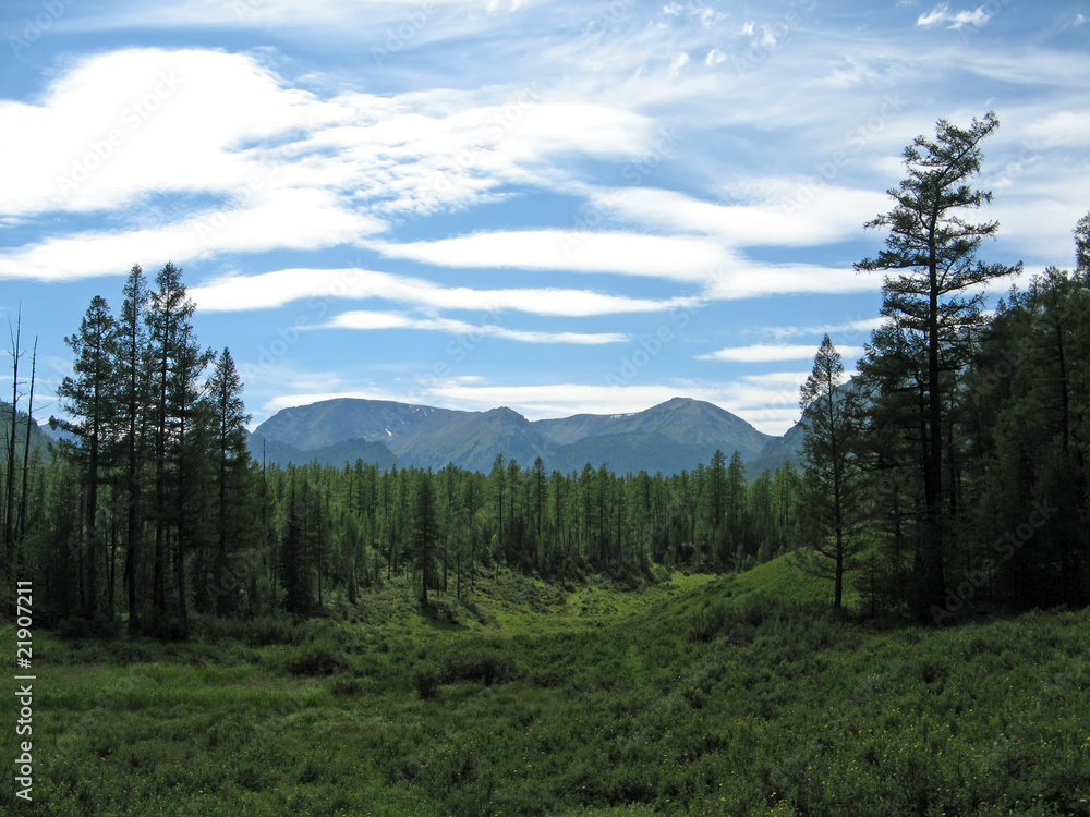 Fototapeta premium The valley between the mountains and forests