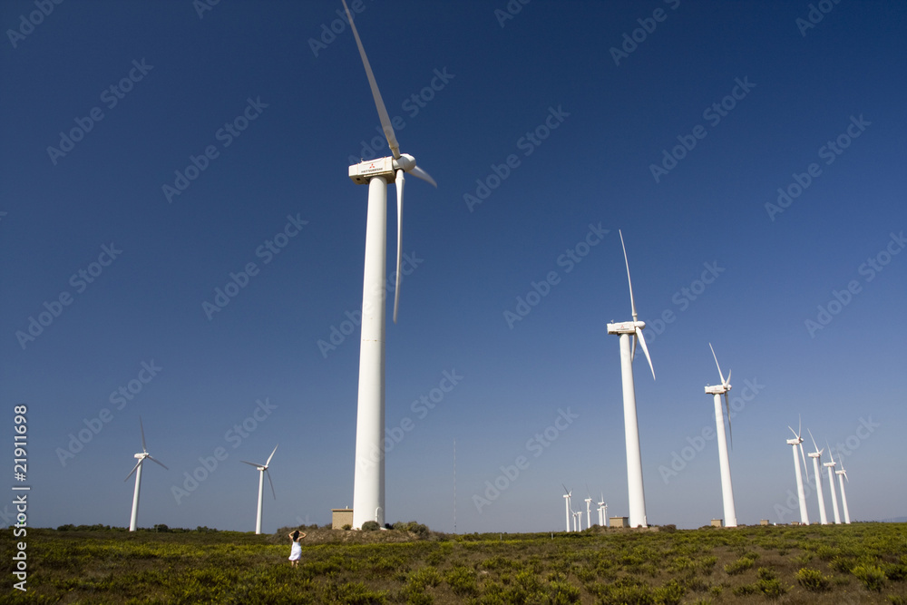 girl and the windmills