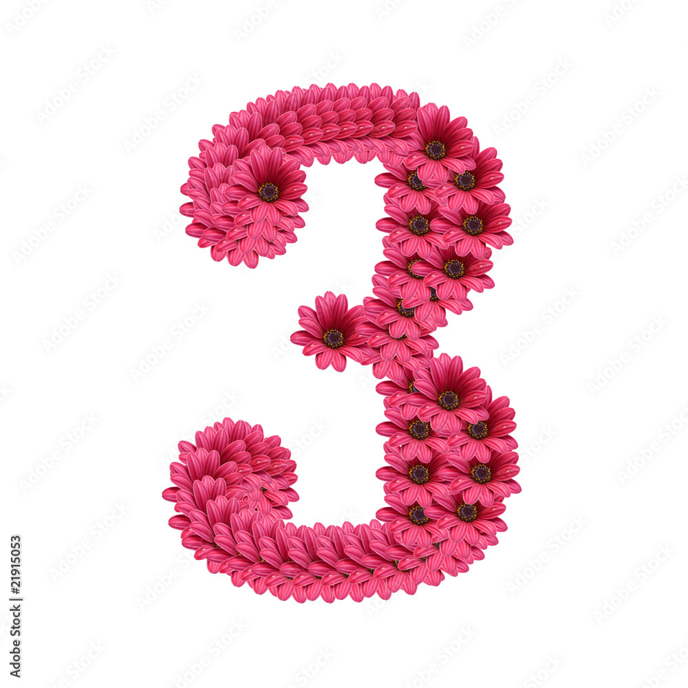 numeros y flores numeros y flores