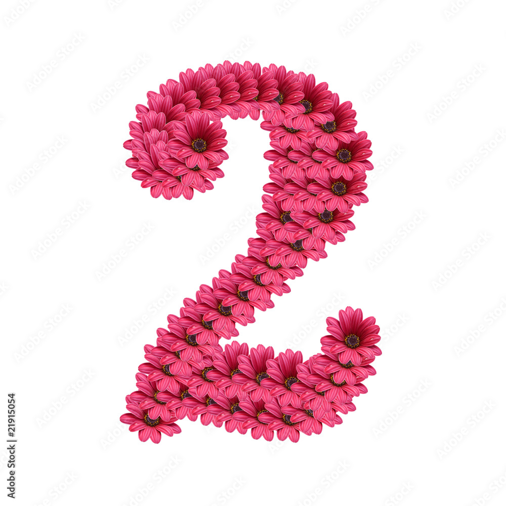 numeros y flores numeros y flores