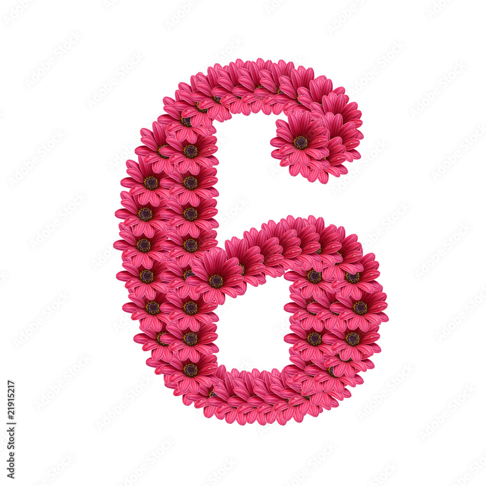numeros y flores numeros y flores