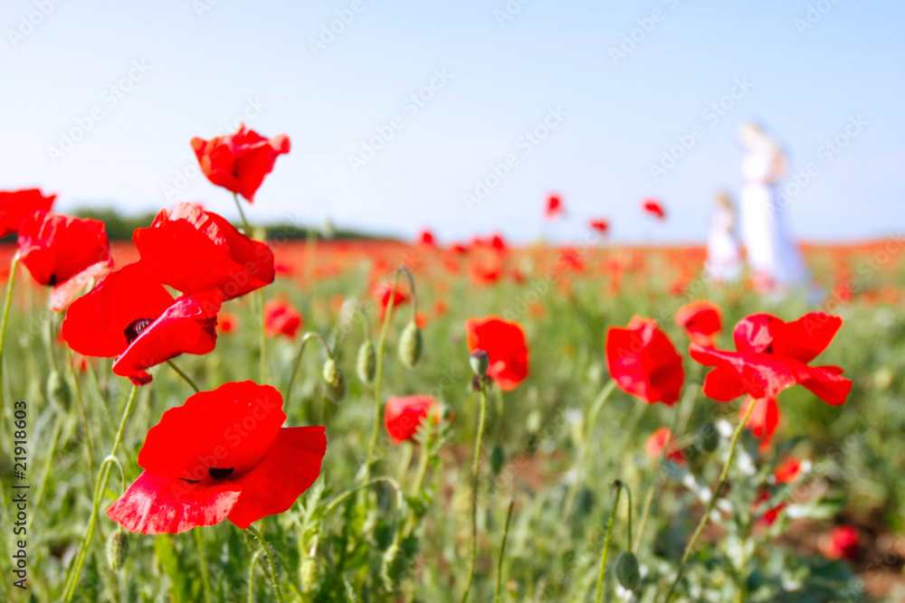Obraz premium mother and daughter walking in poppy field