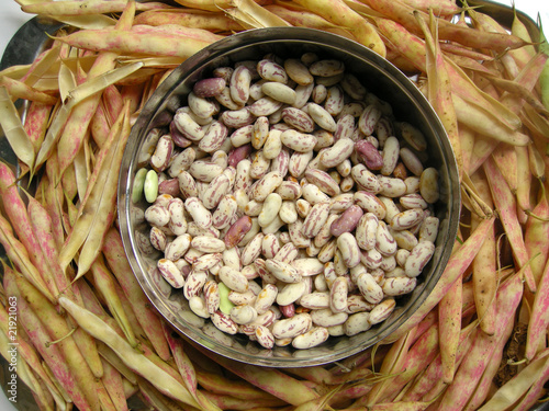 White Kidney Beans Eleven photo