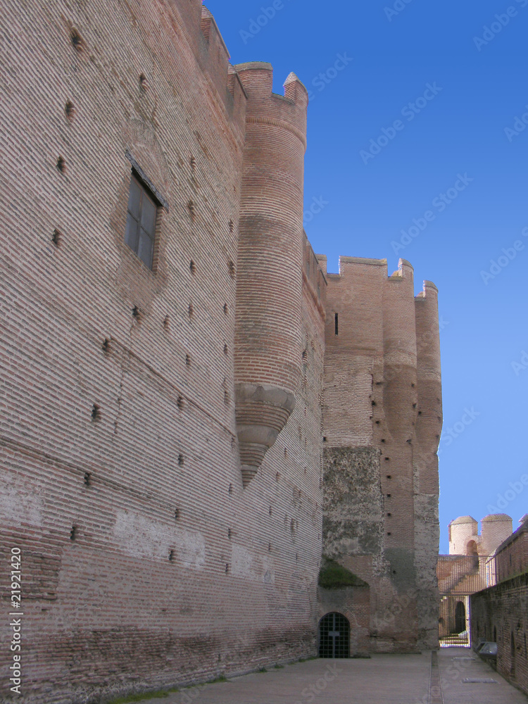 Castillo de la Mota (Detalle lateral)