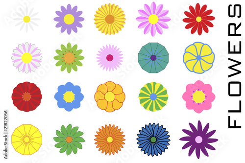 Flores