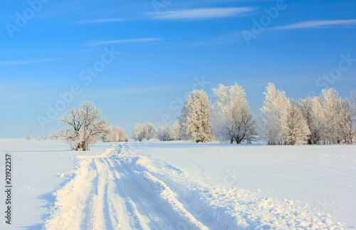 Winter landscape with trees © Dudarev Mikhail