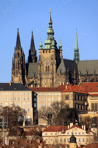 The View on  Prague's gothic Castle