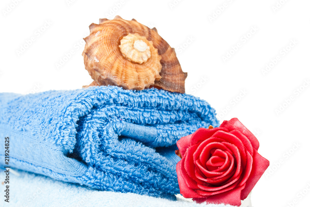 folded blue towel with seashell on top and red rose on the side folded blue towel with seashell on top and red rose on the side