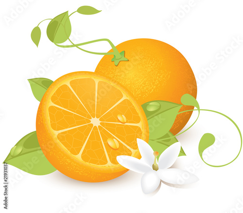 Oranges