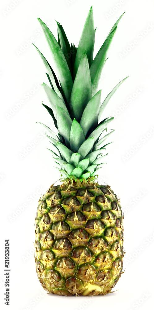 pineapple pineapple