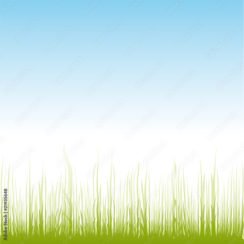 vector grass illustration border background vector grass illustration border background