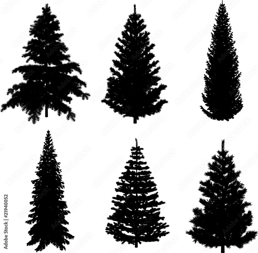 Perfect transparent six Pine trees vectors