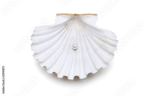 Jakobsmuschel mit Perle
