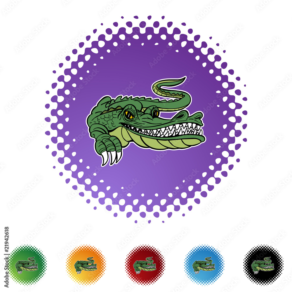 Obraz premium Alligator