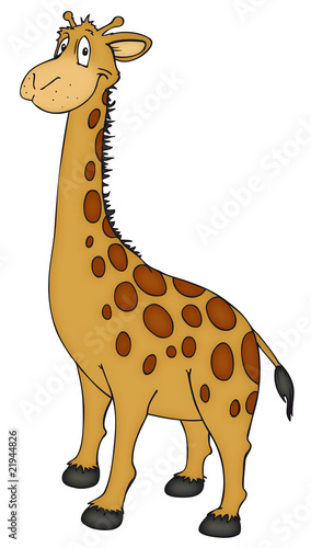 Fototapeta Naklejka Na Ścianę i Meble -  Giraffe, Zoo, Afrika
