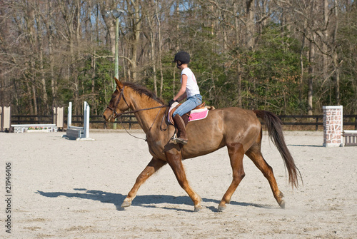Young Woman Equestrian Training